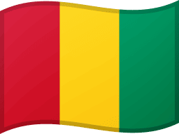 Guinea flag
