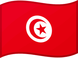 Tunisia flag
