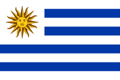 Country Flag